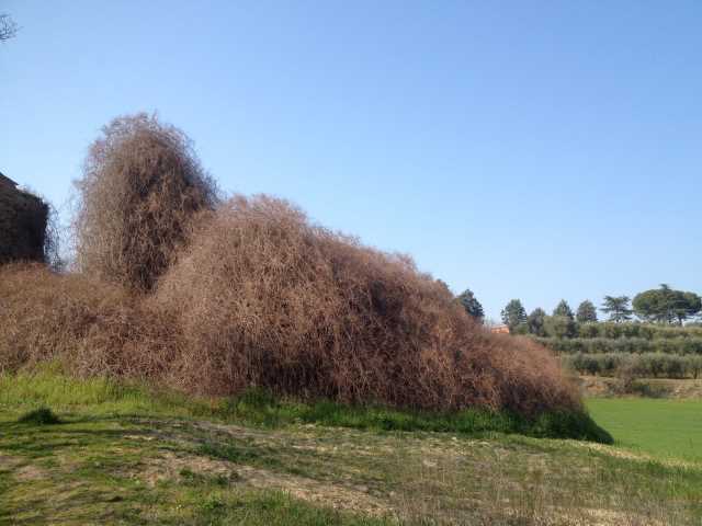 terreno residenziale in vendita a montecosaro c da san savino 23